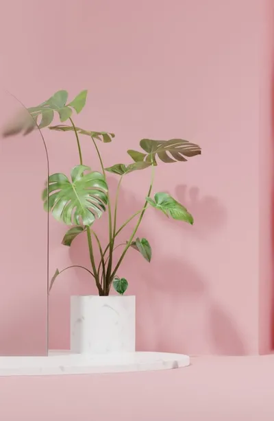 Revolutionizing Customer Engagement